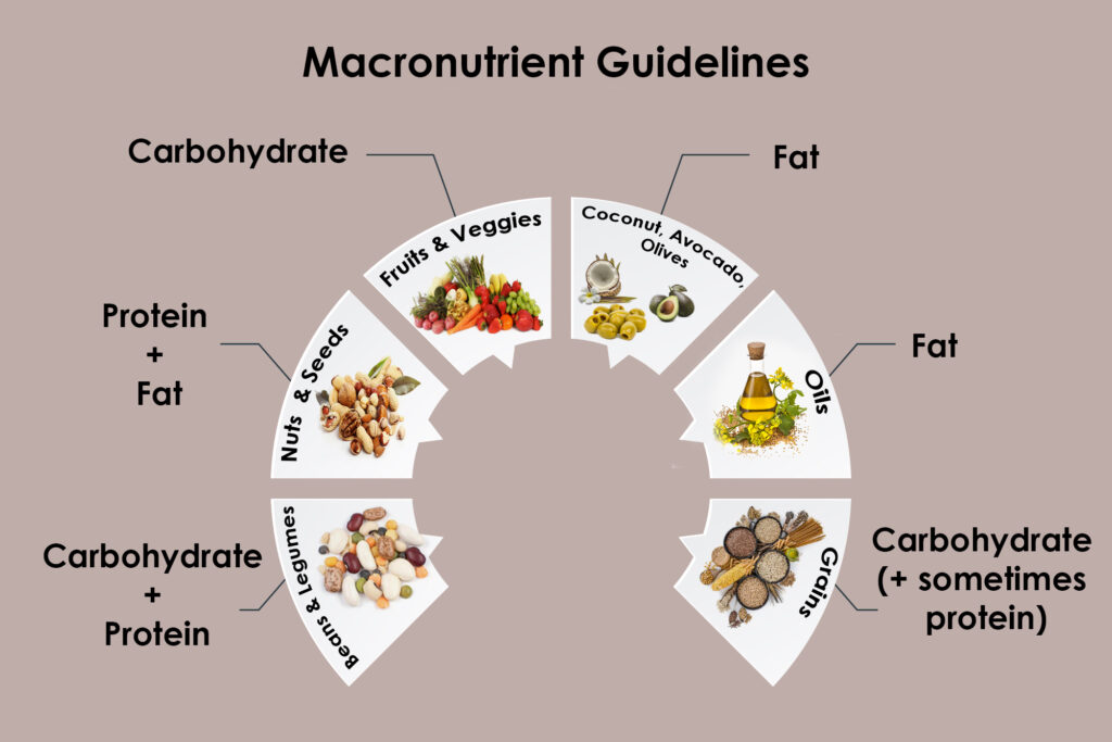 Macronutrients Guidelines